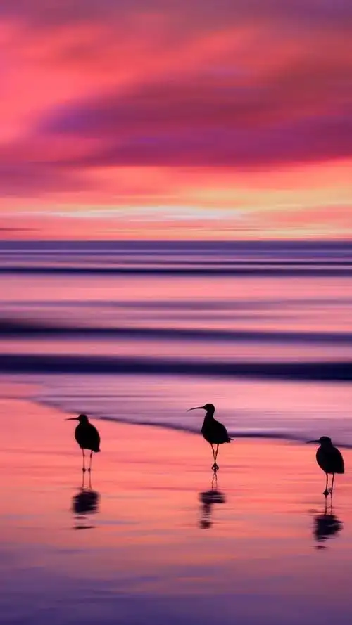 壁纸走一波 - 华为nova7系列分享交流 花粉俱乐部