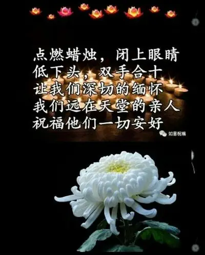 三周年纪念,思念如雨落满天,且思念且感恩!