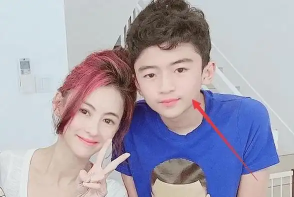 离婚内幕曝光,谢霆锋坦露对娃的亏欠_谢振轩_孩子_父母