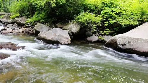 【陈宇寒】优秀作文集