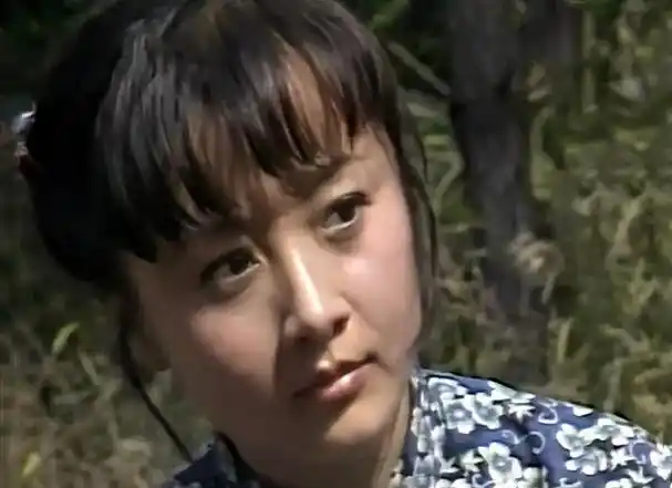 乌龙山剿匪记37年演员现状钻山豹单身至今四丫头因戏离婚