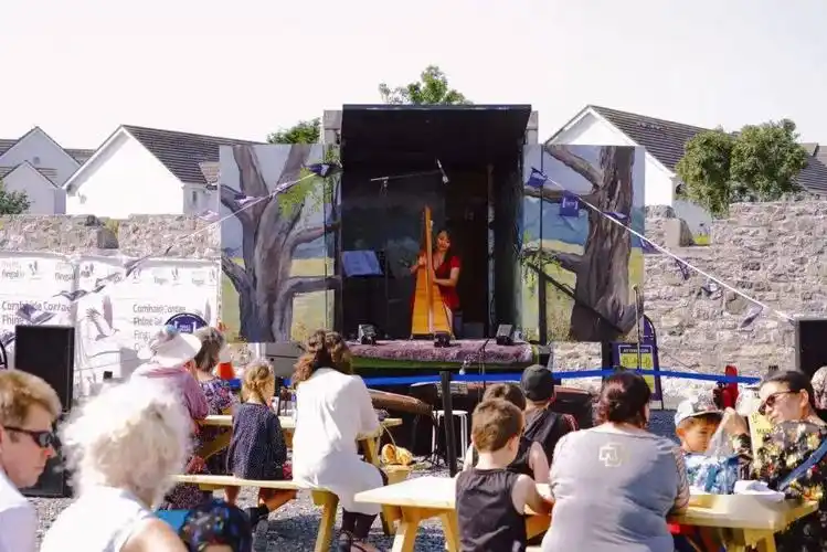 "中国文化路演"户外音乐表演活动在爱尔兰顺利举行