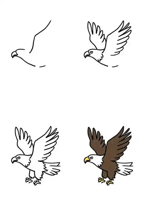 🦅老鹰简笔画飞翔来袭!