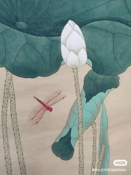 工笔荷花设色步骤