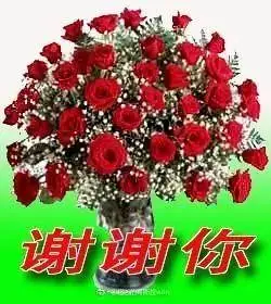 谢谢表情包大全,谢谢你,谢谢老板的动态表情图片!