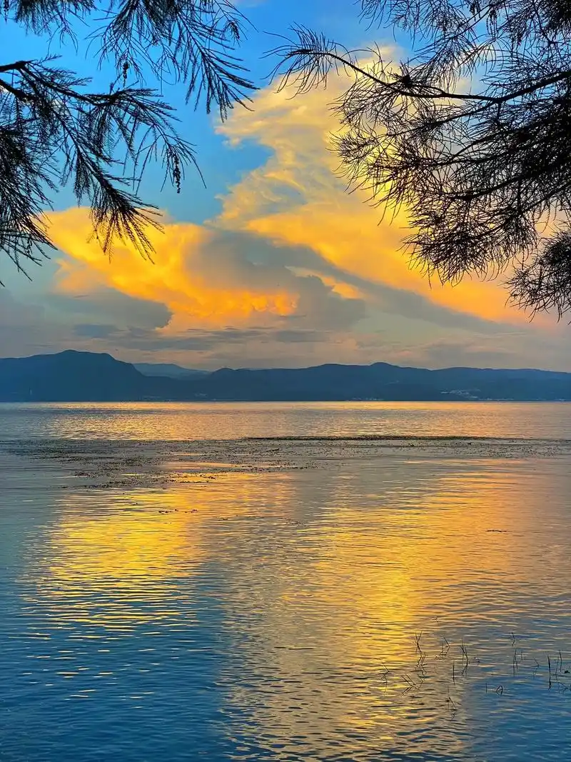 在这个繁忙的世界里,找到一片宁静的风景,让你 - 抖音