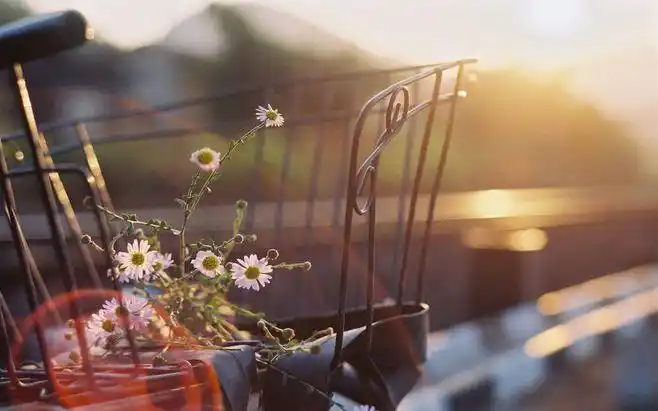 时光印记下的暖暖回忆非主流唯美意境壁纸(9)_非主流壁纸 - 55壁纸