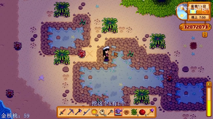 星露谷物语手把手带你找姜岛130个金核桃位置
