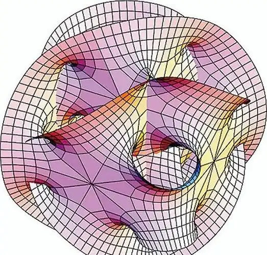 于是有说法认为,蚂蚁是唯一一种生活在二维世界的动物,由于人类生活在
