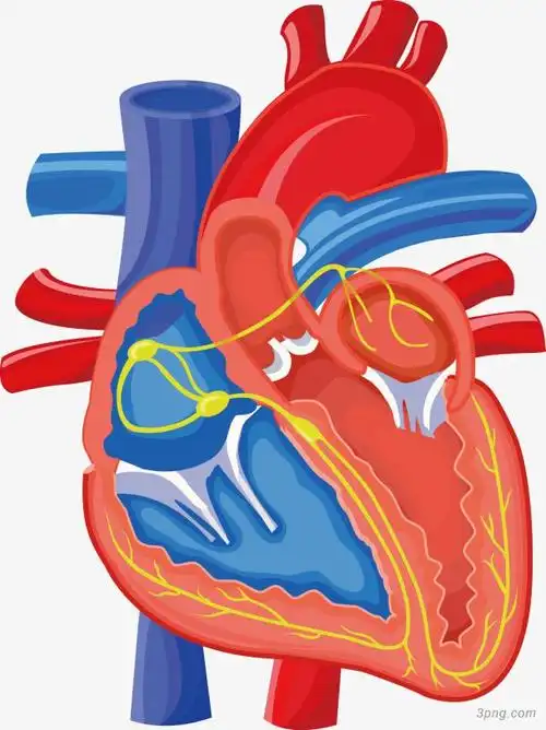 卡通心脏png素材透明免抠图片卡通手绘