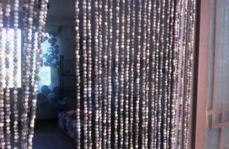 俗称"草珠子",20年前很多人采摘,一天可做条门帘,如今罕见了