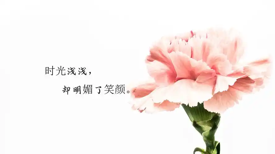 时光匆匆流逝的说说配图