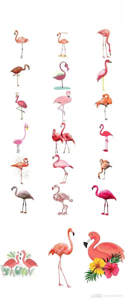 小清新手绘可爱卡通火烈鸟素材