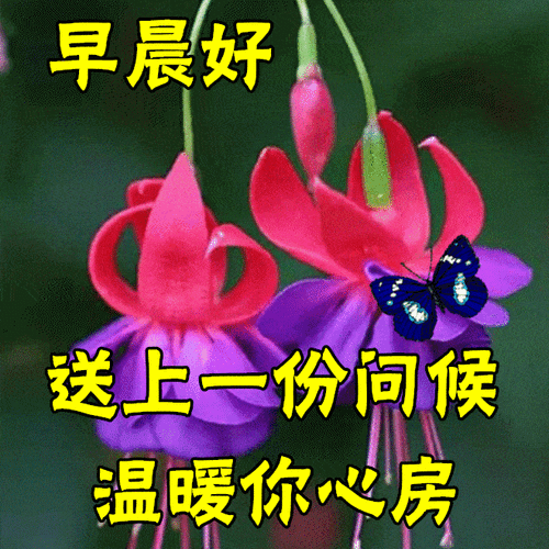 春天早上好问候祝福语图片鲜花带字_生活_都能_日子