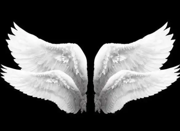 十二星座专属精灵翅膀十二星座的专属校服