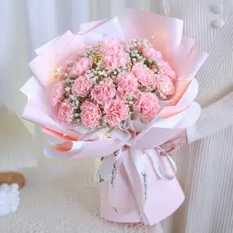 捧花玫瑰花束仿真干花永生花送女朋友闺蜜生日礼物 青春粉 19朵康乃馨