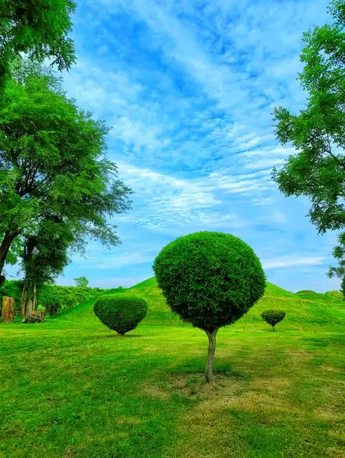 南通洲际绿博园芳草青青,绿树成荫,完美诠释"只此青绿"的优雅意境.