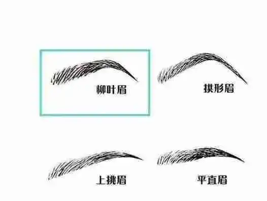 麻衣神相之相眉