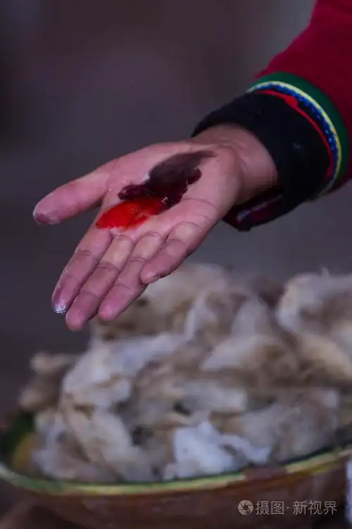 仙人掌寄生虫的手