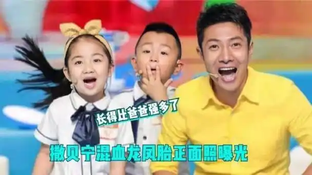 近日,有网友目击到撒贝宁一家四口悠然自得地攀爬山峰,如此令人瞩目的