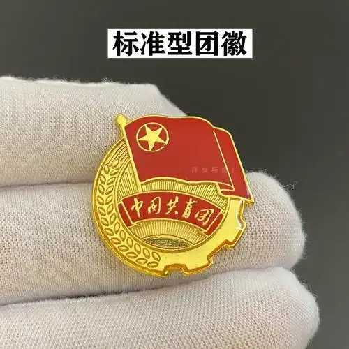 标准型团徽厂家批发学校学生共青团员铁质加厚磁扣别针蝴蝶扣胸徽