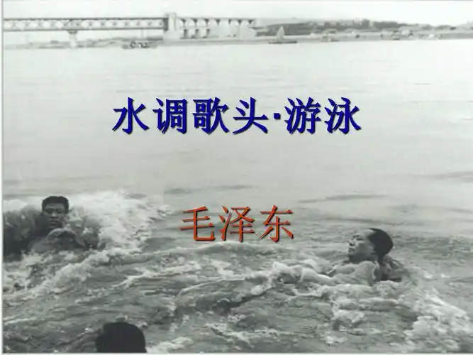 水调歌头游泳ppt课件
