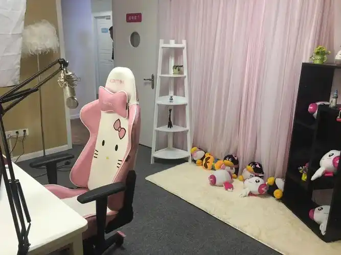 网红直播室内景.