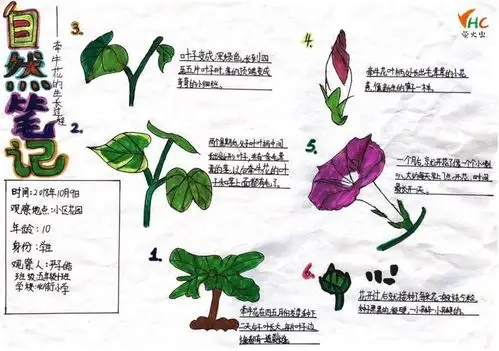 自然笔记获奖名单公布yhc花溪初赛场圆满结束啦