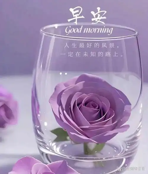 早安心语大全,今日精选唯美早上好祝福图片