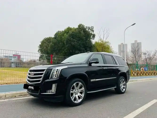 凯迪拉克 凯雷德  2003款 3.2 四驱豪华型图片