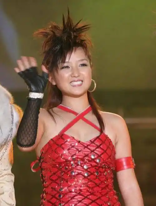 何洁当年的手段有多卑微,何洁现在就有多惨何洁最爱的前任是释小龙而