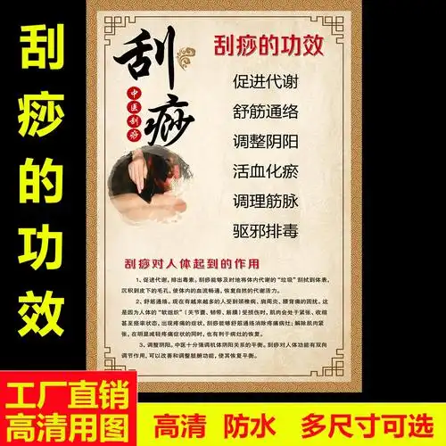 刮痧功效宣传海报中医养生示意图背部推拿按摩作用挂图写真