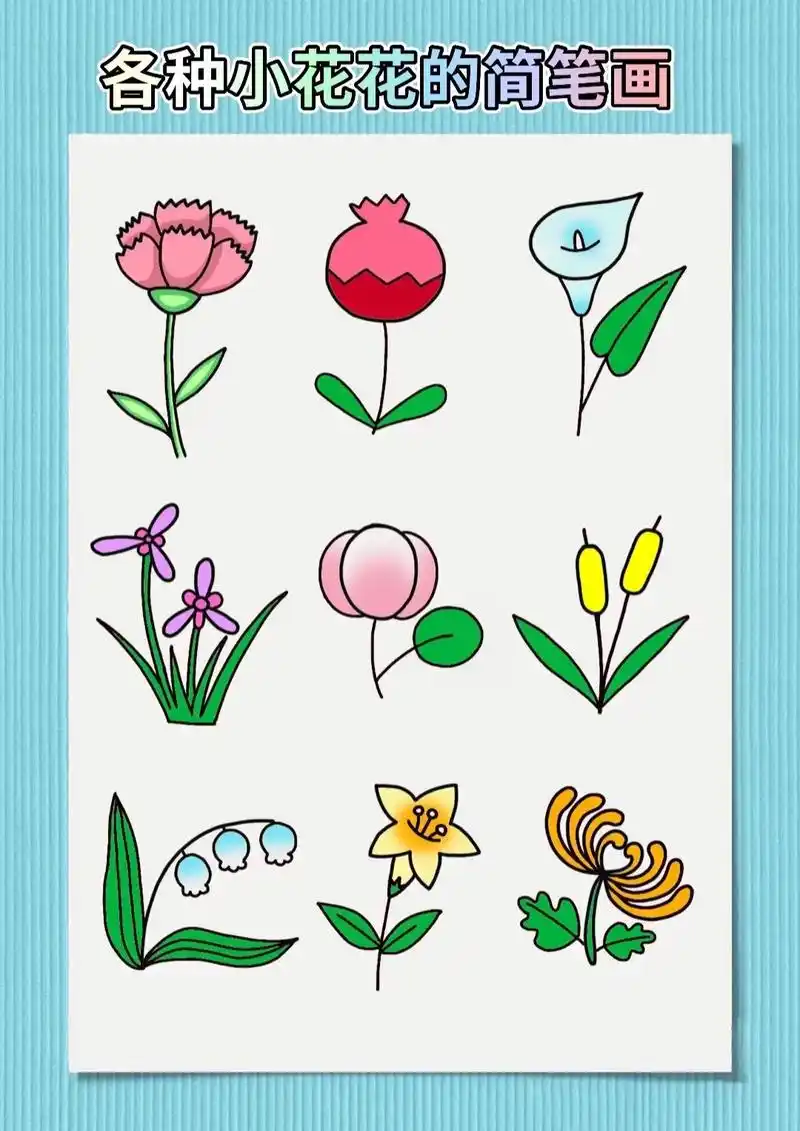各种小花花的简笔画,赶快收藏起来给孩子画吧!#简笔画#儿童简 - 抖音