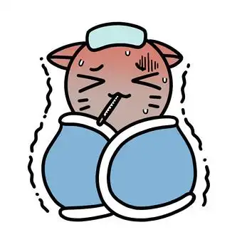 猫导演表情包3动图gif