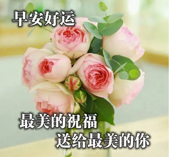 夏天让人一秒倾心的早安图片,最新版早上好漂亮表情带字带祝福