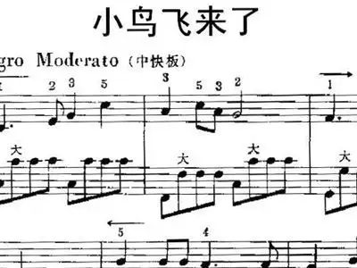 小鸟飞来了 歌谱,手风琴谱 简谱,五线谱