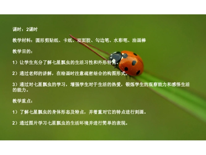 一年级下册美术课外班课件4七星瓢虫全国通用20张幻灯片