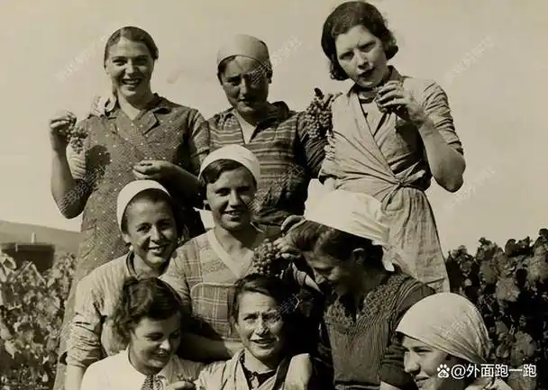 纳粹德国的犹太印象娘娘腔吸血鬼寄生虫和劣等民族