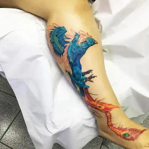 富小姐小腿凤凰鸟纹身图案