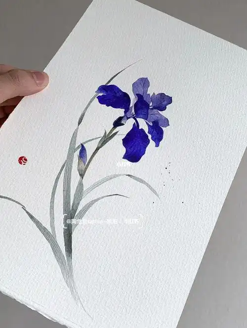 水墨纹身设计鸢尾花tattoo北京纹身