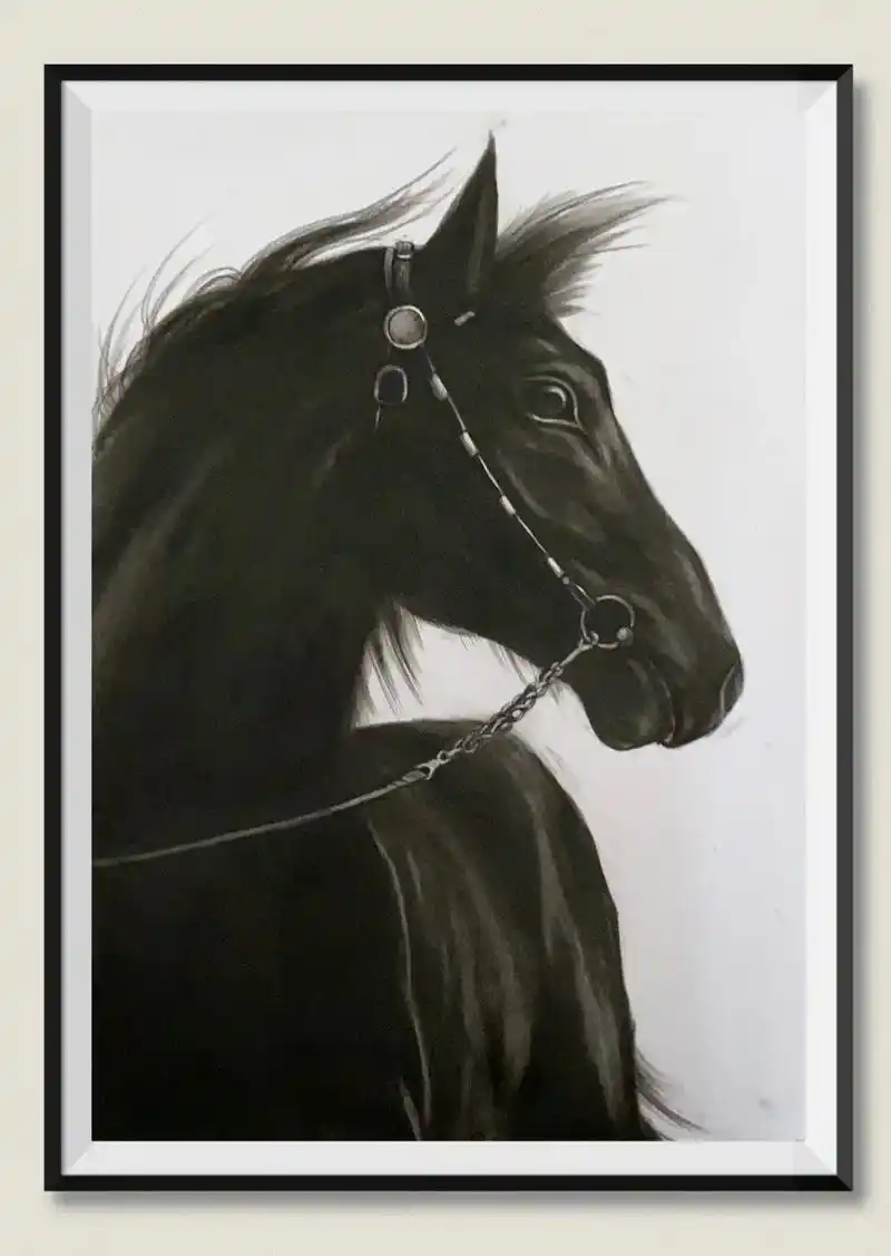画一匹骏马 #素描动物 #绘画过程分享 #作品分享  - 抖音