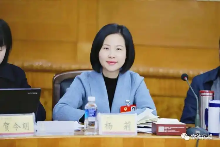 盟员省政协委员杨莉建议制定湖南省学前教育改革发展纲要启动湖南幼