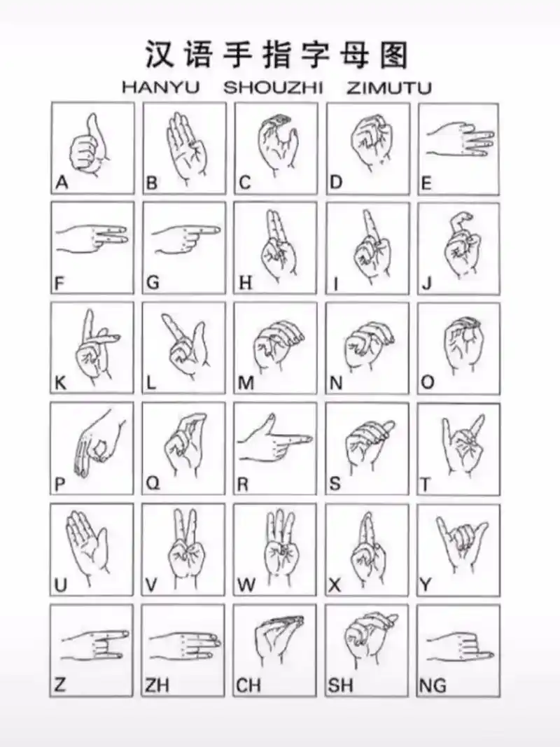 p z f 023909#朴宰范#字母手势 #字母手势图  - 抖音