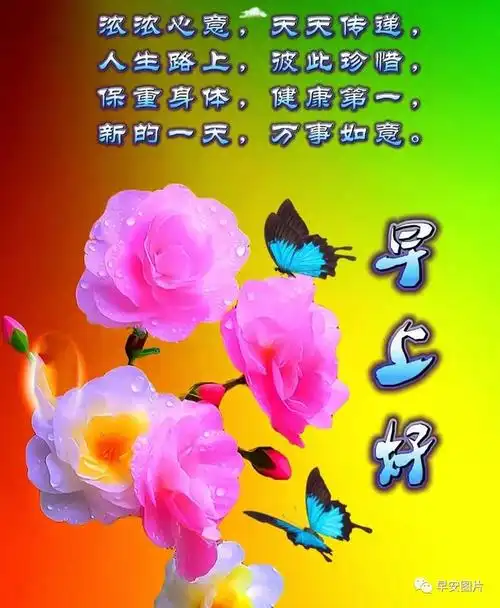 最新版早安问候祝福语图片带字温馨漂亮的早上好祝福图片
