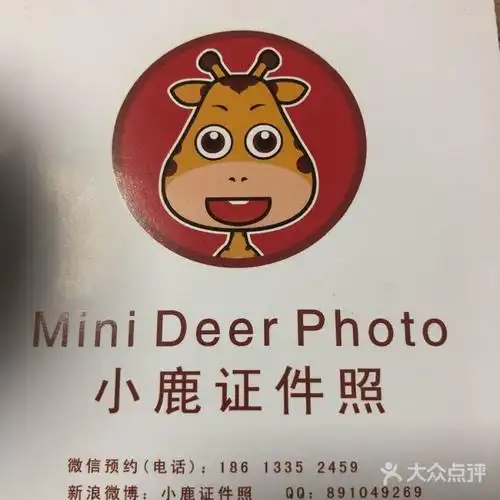 小鹿证件照