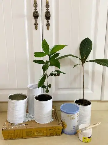 奶粉罐废物利用