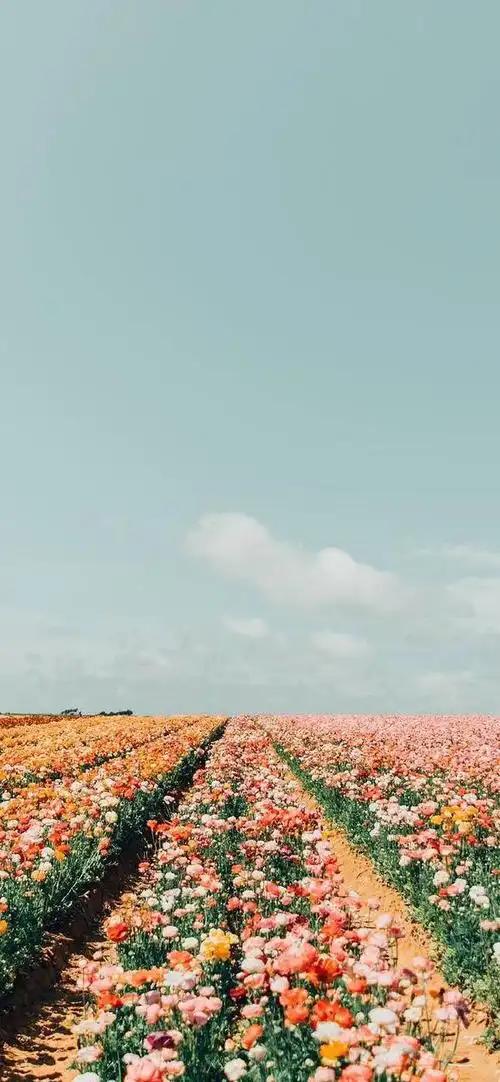 睡前发朋友圈的晚安心语文案每一句都精彩配优美图片