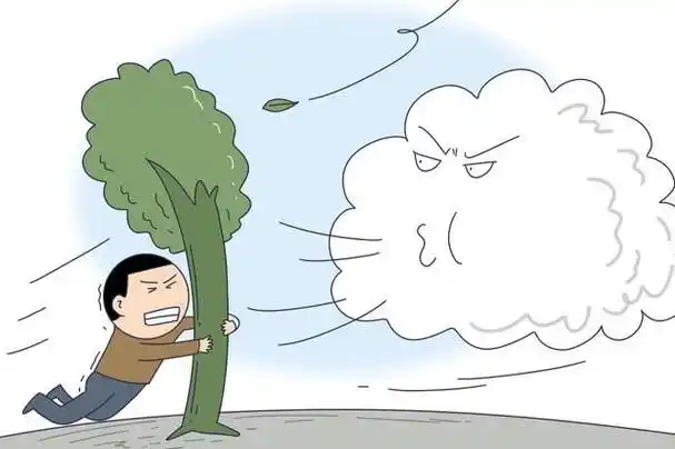 明天,贵阳贵安将出现较大范围大风天气!