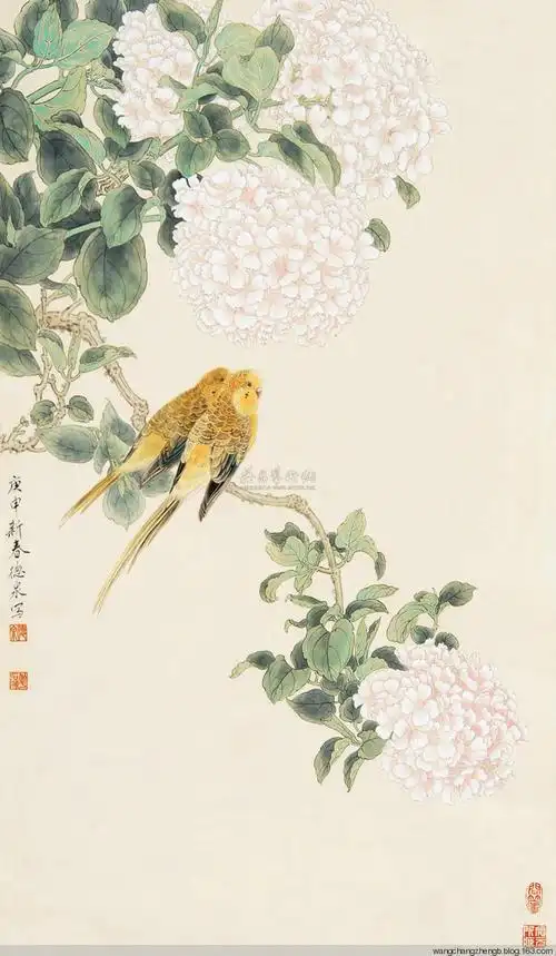 张德泉 工笔花鸟作品选