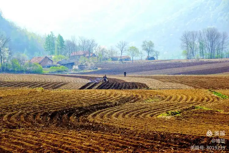 大美乡村,春耕田园,蕴氲蒸腾,美如锦画!